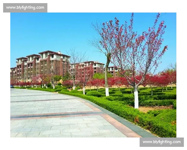 威海：我的第二故乡，一座被阳光洗净的精致之城